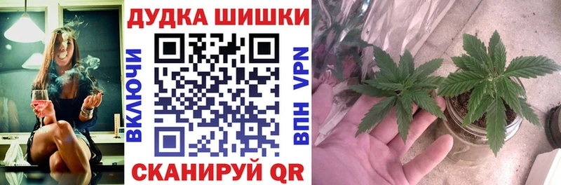 Купить наркотик Краснозаводск Гашиш  А ПВП  COCAIN  Меф мяу мяу  Псилоцибиновые грибы  Марихуана 